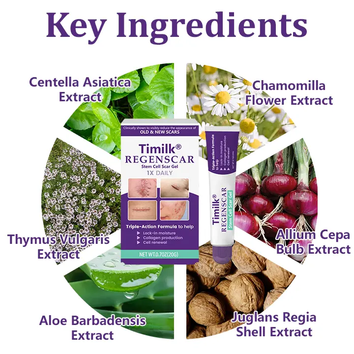 ๐ถ๐๐๐๐๐๐๐ ๐บ๐๐๐๐ | โ๏ธโ๏ธ ๐ป๐๐๐๐๐ยฎ ๐น๐๐ฎ๐๐๐บ๐๐๐ ๐บ๐๐๐ ๐ช๐๐๐ ๐น๐๐๐๐๐ ๐ฎ๐๐ (๐ฝ๐๐๐๐๐๐ ๐บ๐๐๐ ๐ฐ๐๐๐๐๐๐๐๐๐๐ ๐๐ 7 ๐ซ๐๐๐) โ๏ธโ๏ธ